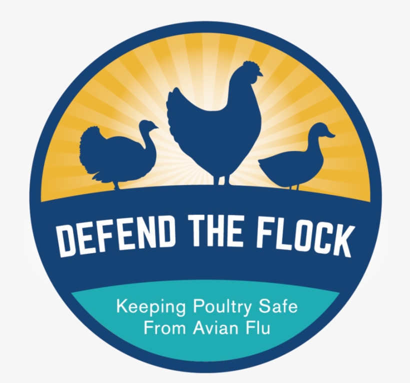 Final Defendtheflock-03 - Poultry, transparent png download