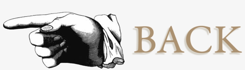 Christmas Lullaby All The Arrangements From Kim's Recording - 50 Things You Want To Know About World Issues . . ., transparent png download