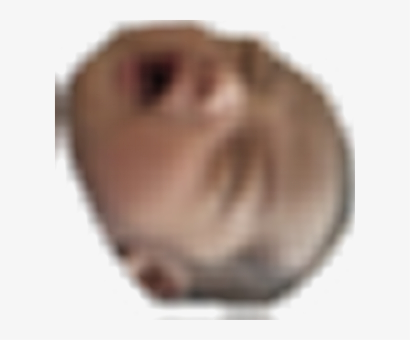 22 Oct - Snout, transparent png download