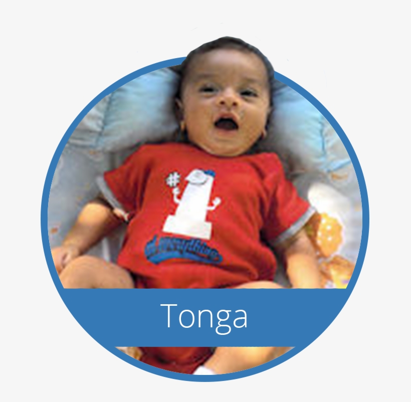 Large Circles Tonga - Baby, transparent png download