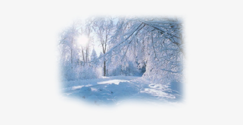 Winter Landscape ,jpg - Snow Landscape, transparent png download
