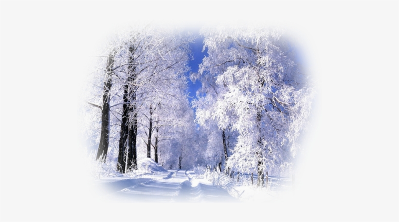 Realistic Winter Landscapes By Evgeniy Karlovich - Saskatoon Saskatchewan Winter, transparent png download