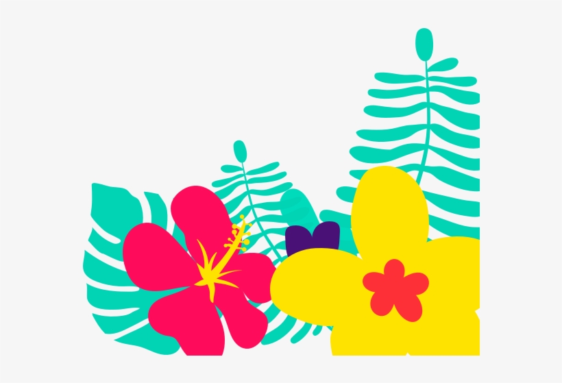 Plan, transparent png download