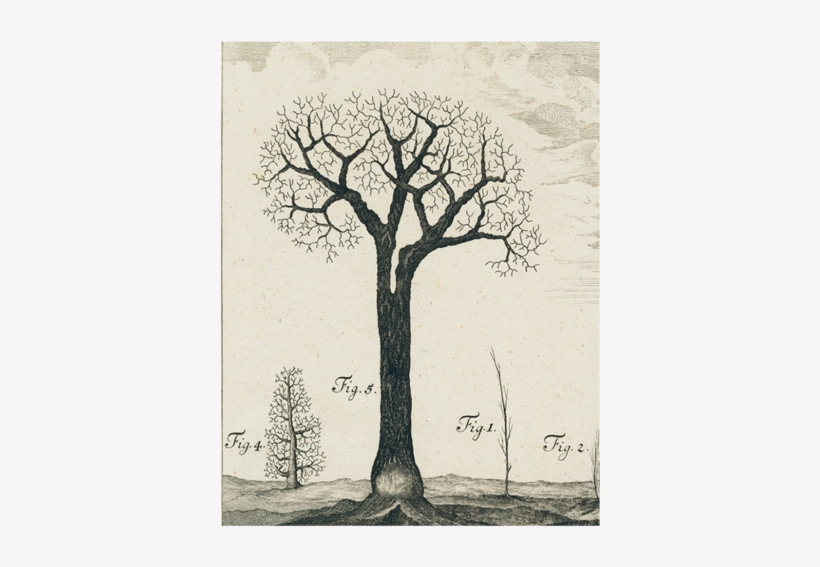 Winter Tree - Obraz Na Płótnie Kolaż News Gazeta Aa70x50-3207, transparent png download