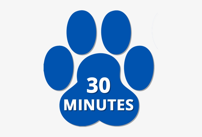 Office Hours - Paw Print Tattoos - Blue, transparent png download