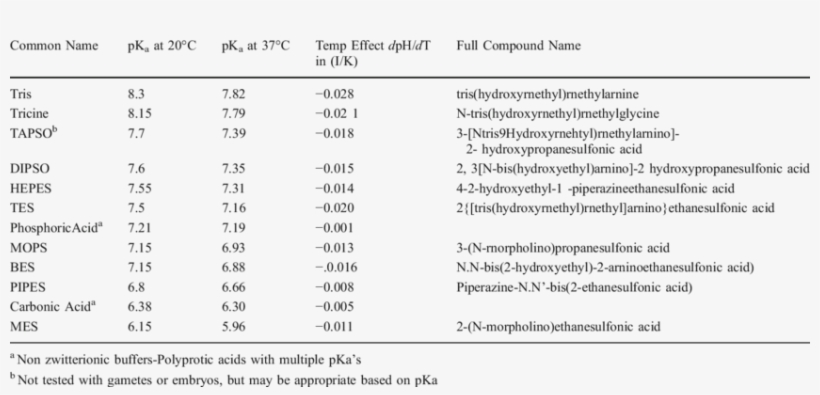 Ph Buffers That Have Been Used With Gametes And Embryos - Buffers Ph, transparent png download