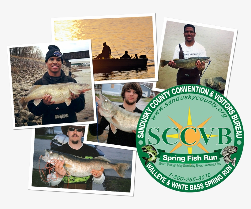 Fishing Collage - Food, Society, And Environment: Second Edition [book], transparent png download