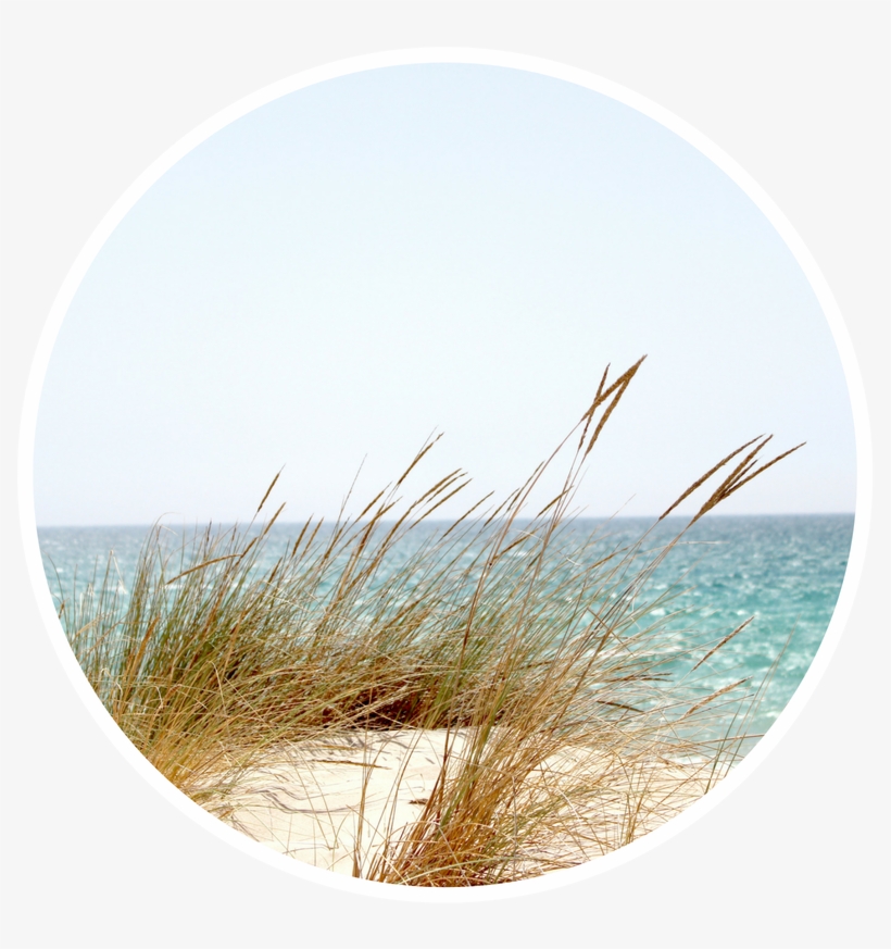 Our History - Beach, transparent png download