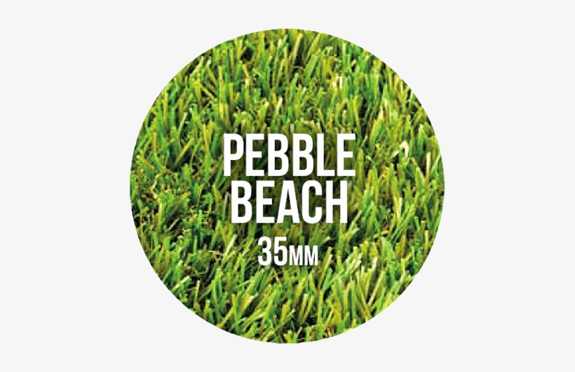 Prev - Garden, transparent png download