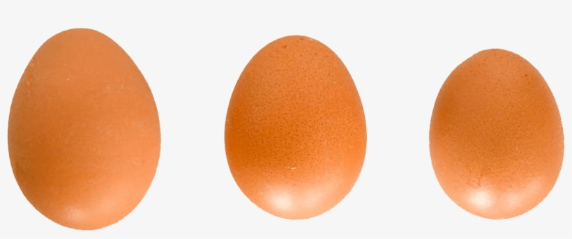 Por Ello Nuestro Método De Envase Y Comercialización - Boiled Egg, transparent png download