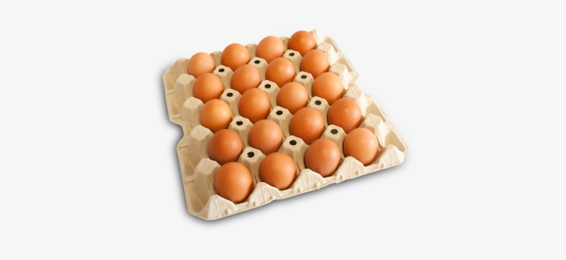 Bandeja 20 Huevos Canelos Frescos - Carton De Huevos Png, transparent png download