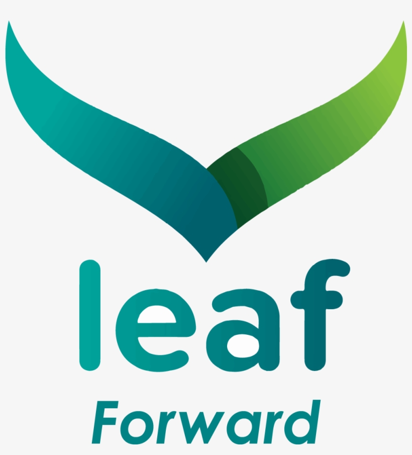 Leaf Forward Colour - Calverthealth Logo, transparent png download