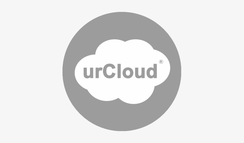 Companies Everywhere Are Discovering The Business And - Synergit Incorporated, transparent png download