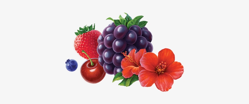 Celestial Wild Berry Zinger Herbal Tea, transparent png download