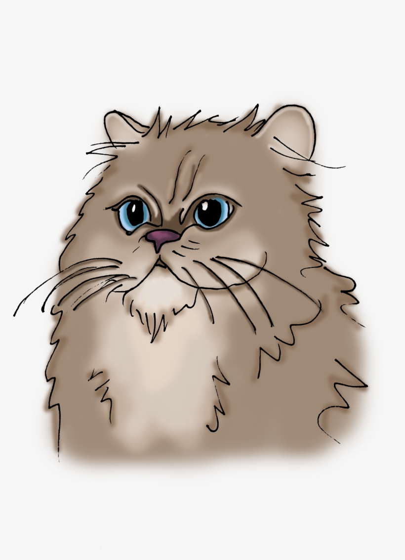 Persian - British Longhair, transparent png download