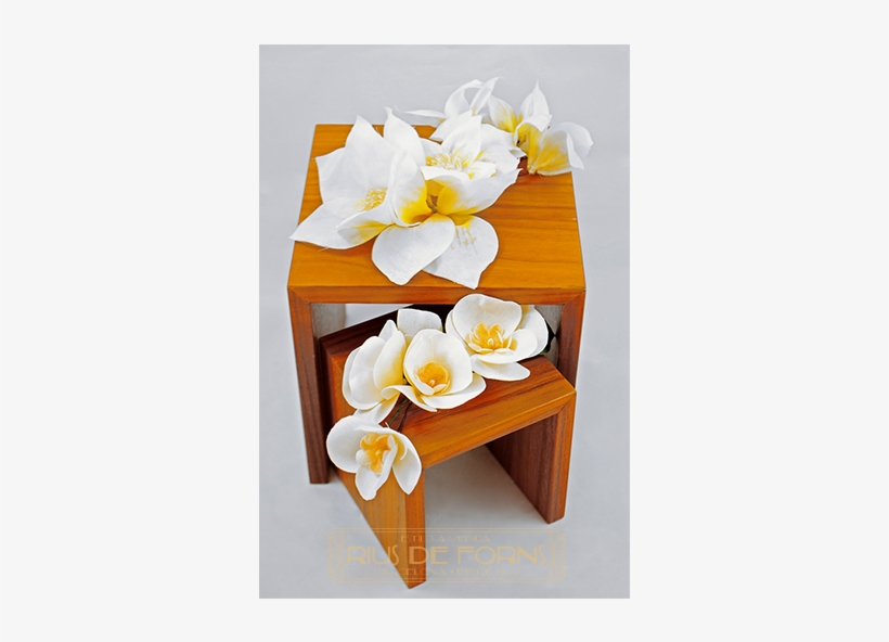 Flores Blancas Con Destellos Amarillos - White, transparent png download