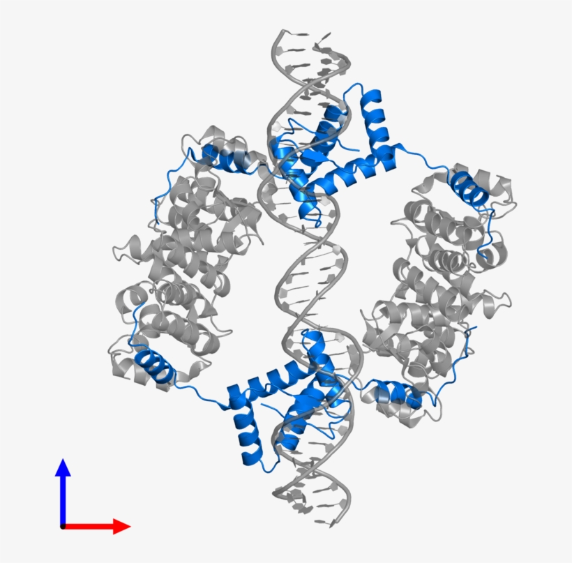 <div Class='caption-body'>pdb Entry 2h1o Contains 4 - Illustration, transparent png download