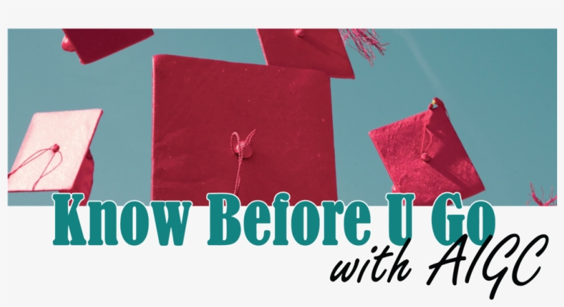 Supported By A Generous Grant From Wells Fargo, Aigc - Living With Juno By Emma Bellemy, transparent png download