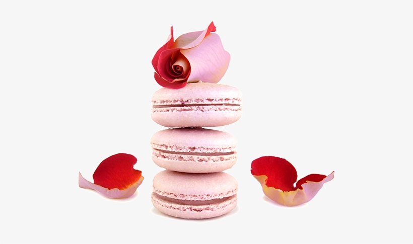 Macaroon, transparent png download