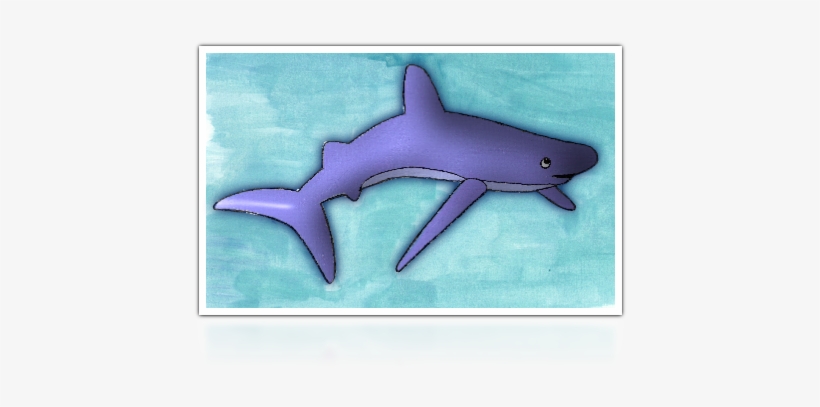 Cocos Island, Pacific Ocean - Twitpic, transparent png download