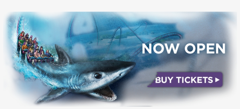 Mako Rollercoaster At Seaworld Orlando Opened In June - Merket For God Design, transparent png download
