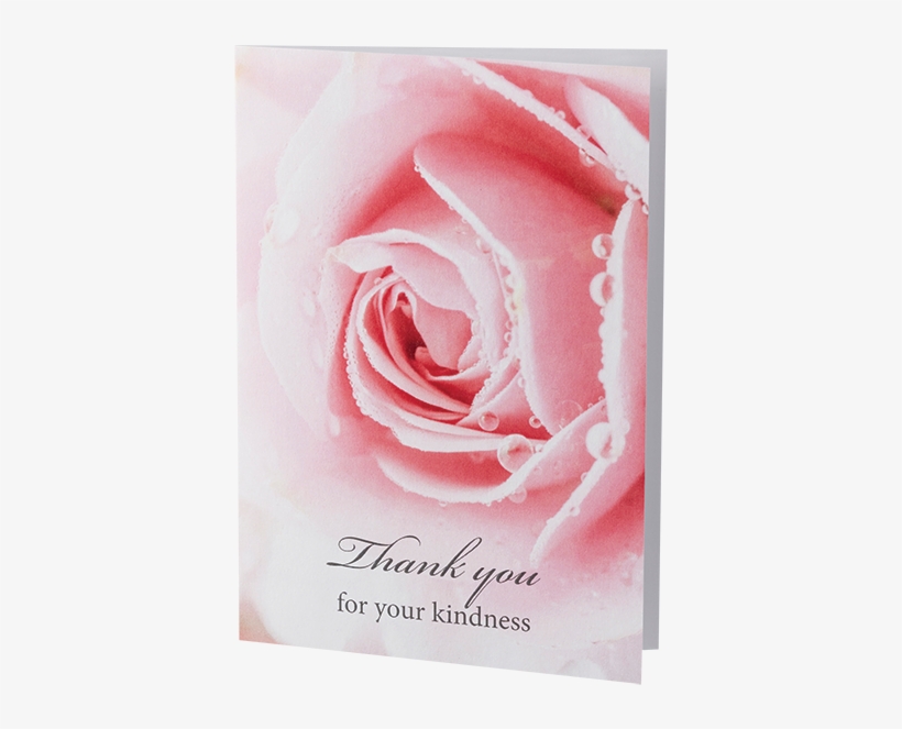 Thank You - Garden Roses, transparent png download