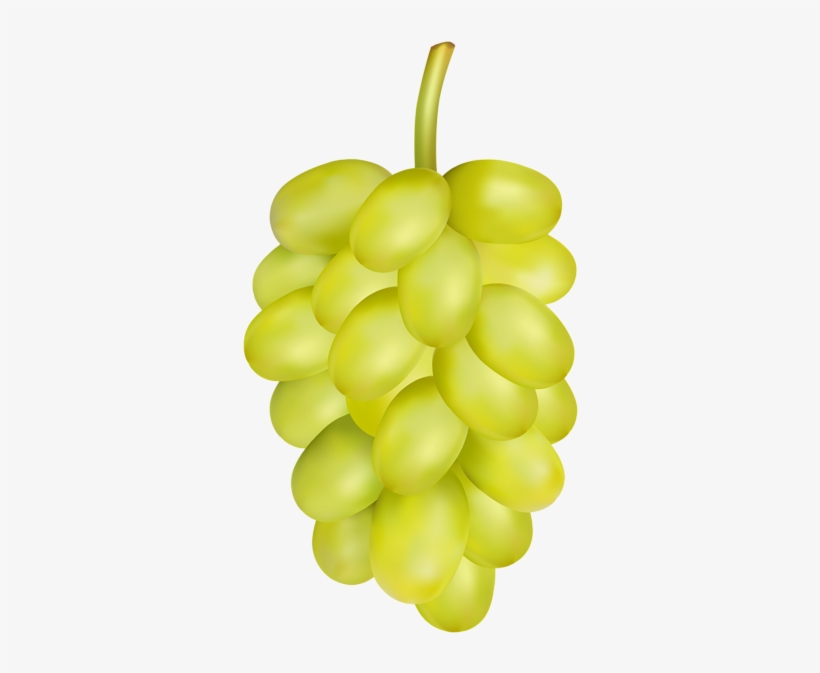 White Grape Png Clip Art - Clip Art, transparent png download