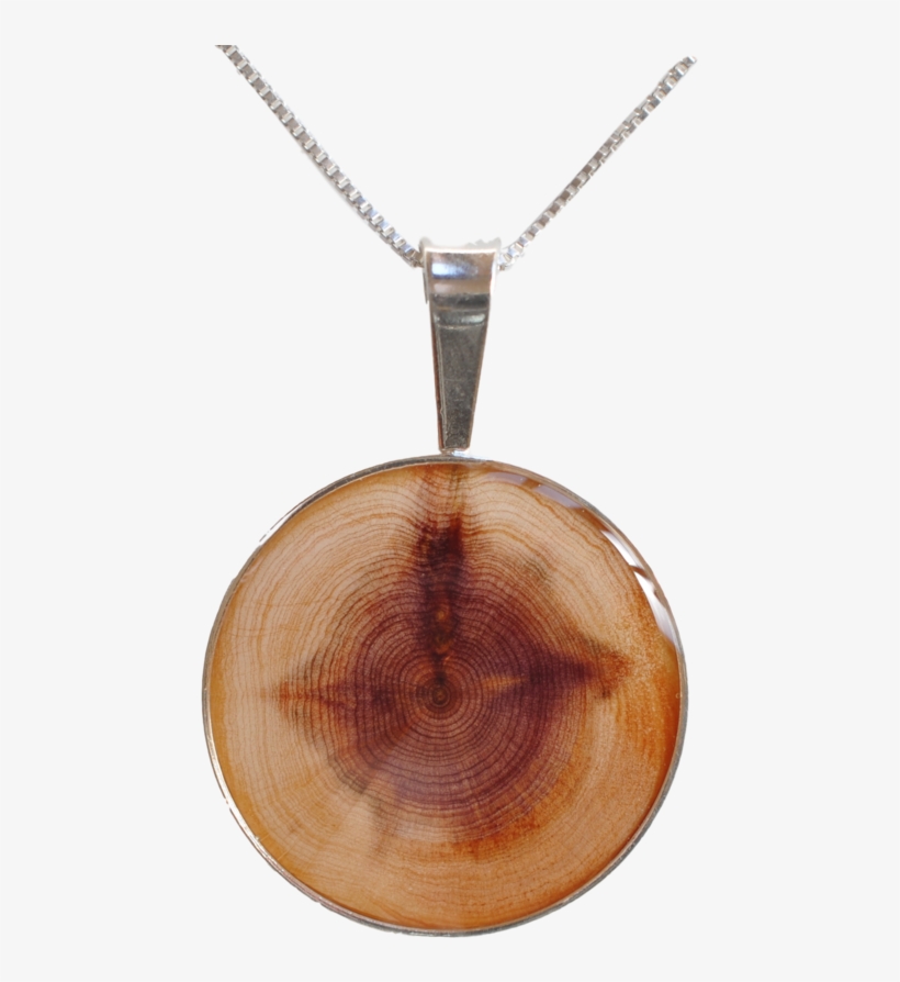 Juniper Tree Pendant - Carat, transparent png download