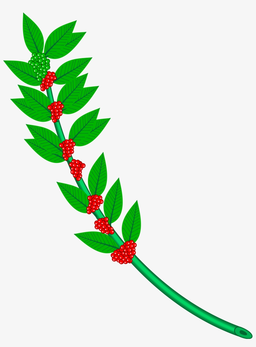 Open - Heraldry, transparent png download