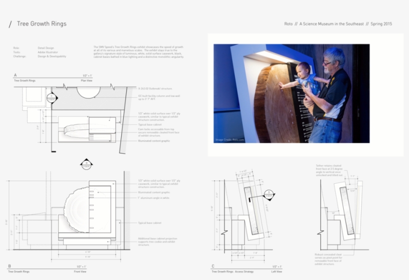 Tree Growth Rings - Tree, transparent png download