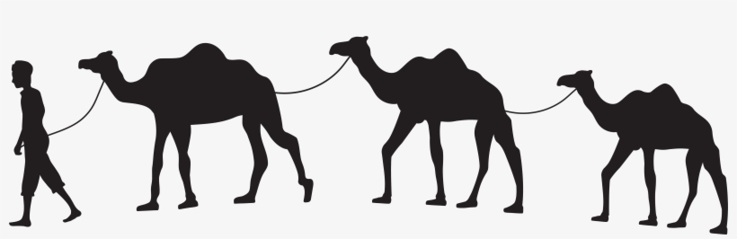 Camels Clipart Silhouette - Camel Clipart, transparent png download