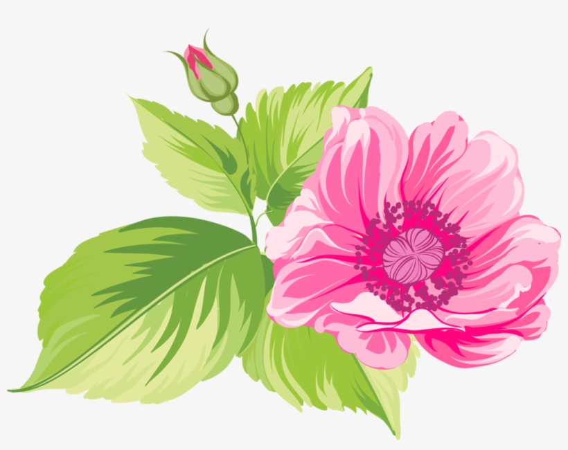 Schefer2011 Альбом «*****клипарт***** / ✿ ❀ Клипарт - Flower, transparent png download