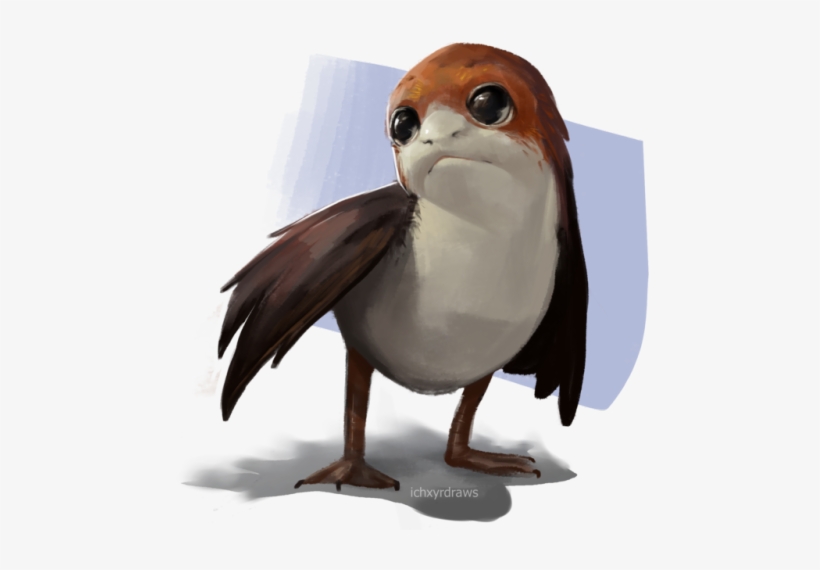 Porg - Tumblr - Atlantic Puffin, transparent png download