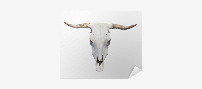 Renwil 'johana' Glass Animal-themed Artwork (johana), transparent png download