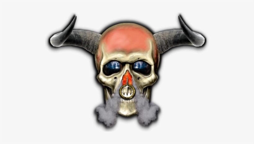 Bull Skull - Photograph, transparent png download