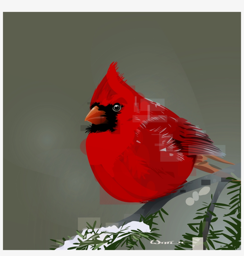 Cardinal - Northern Cardinal, transparent png download