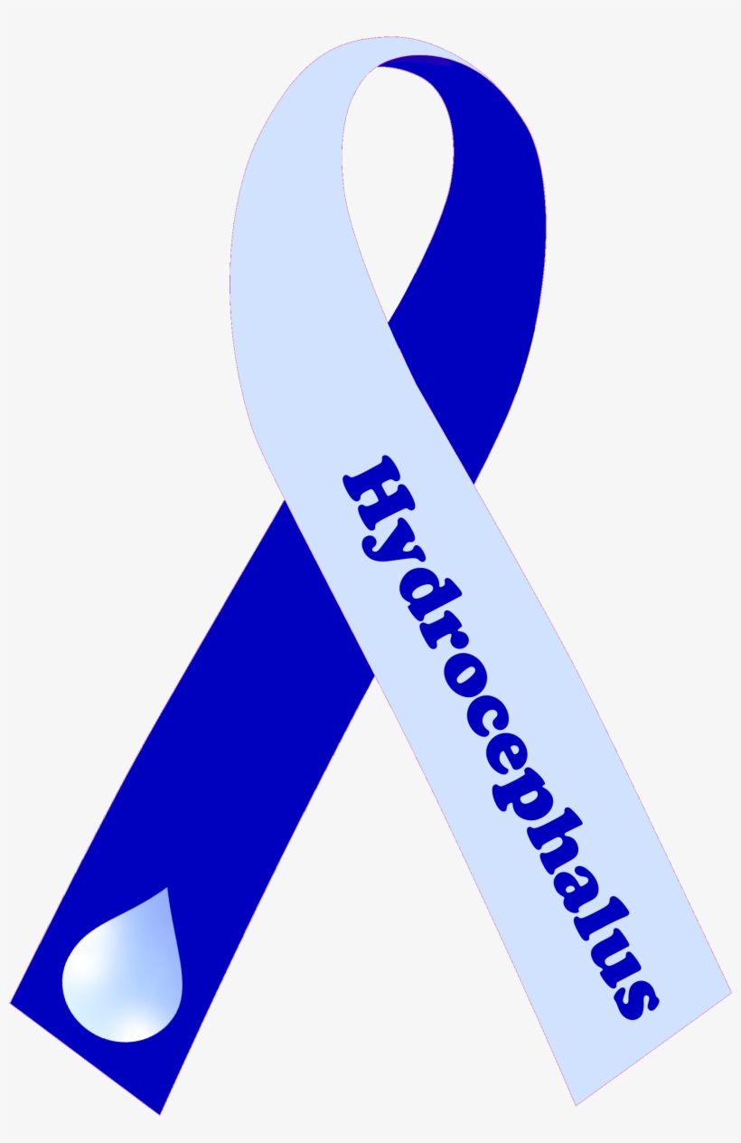 High Quality Folded Two Tone Ribbon Text - Buses Frontera Del Norte, transparent png download