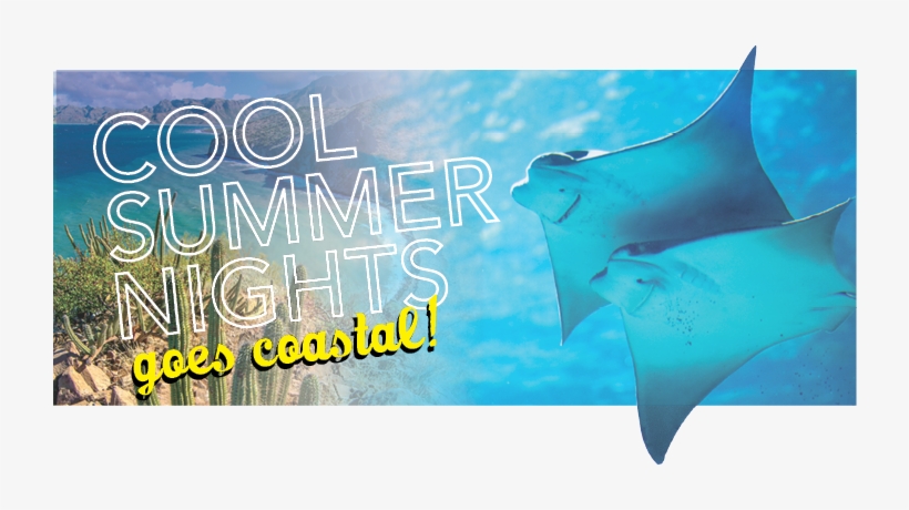 Click To Enlarge Csn2016 Banner - Skate, transparent png download