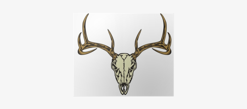 Deer Skull, transparent png download