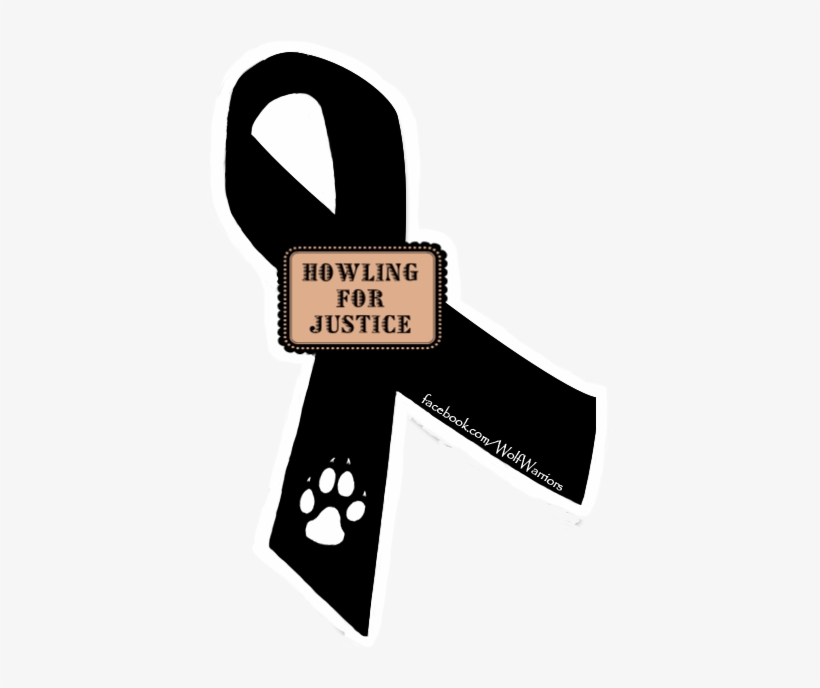 Stop The Delisting Of The Yellowstone Grizzly Last - Portable Network Graphics, transparent png download