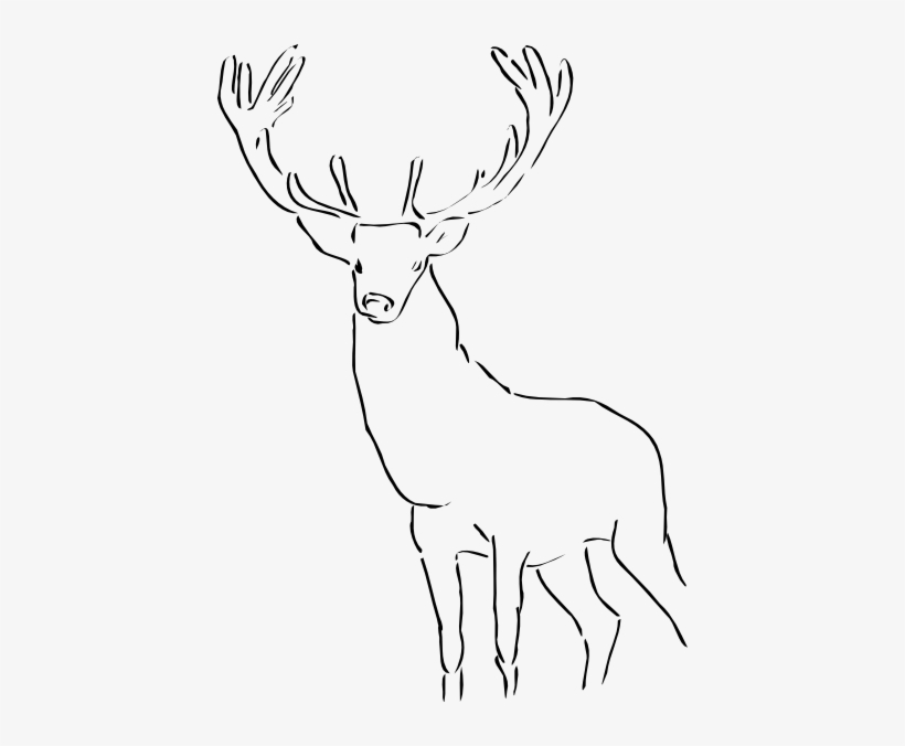 Stag Clipart Simple - Stag Clip Art, transparent png download