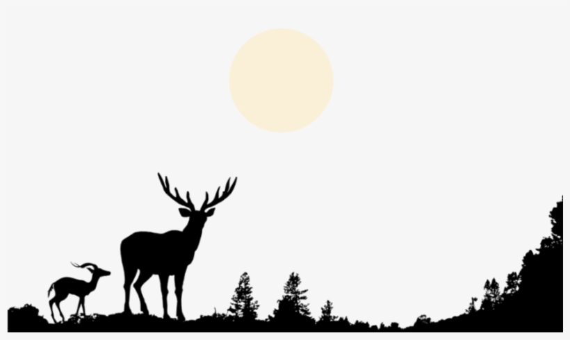 Trees Beneath Us [book], transparent png download