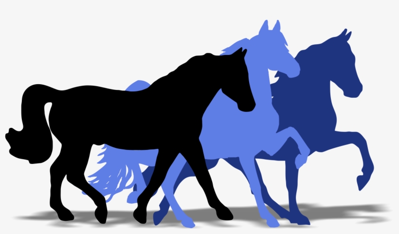 Horse, transparent png download