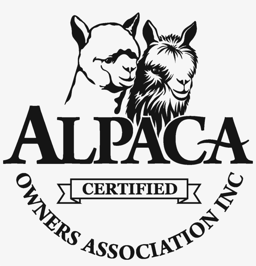 Aoa Certified Ribbon 1200 Px - Jpeg, transparent png download