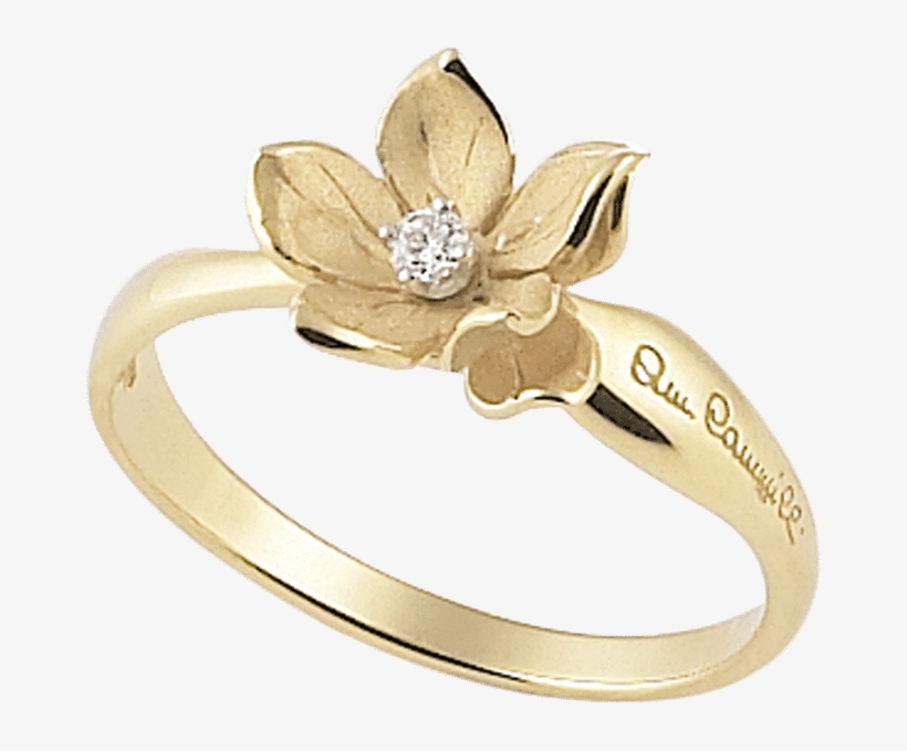 Ring Yellow Sunrise - Oberstaufen, transparent png download