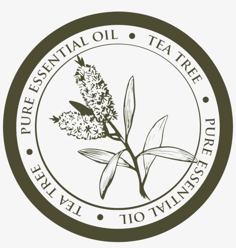 Hard Wax Body Stick On The Go "tea Tree Essential Oil - Circular Word Search, transparent png download