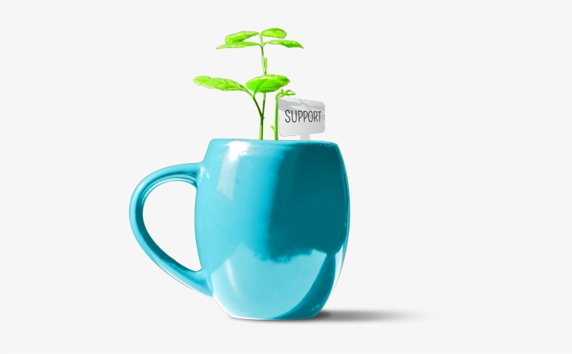 Plant In Coffee Cup With A Tag That Reads "support" - Coffee Cup, transparent png download