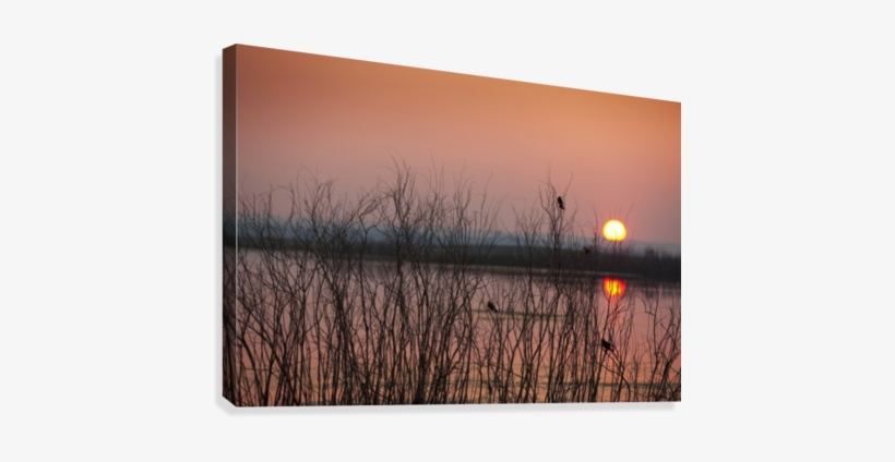 Sun Glowing In A Pink Sky At Sunset And Reflections, transparent png download