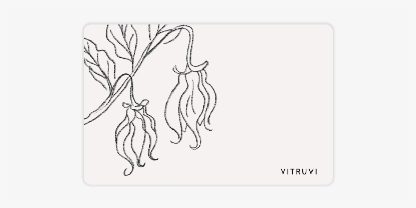 Gift Card - Vitruvi - Vitruvi, transparent png download