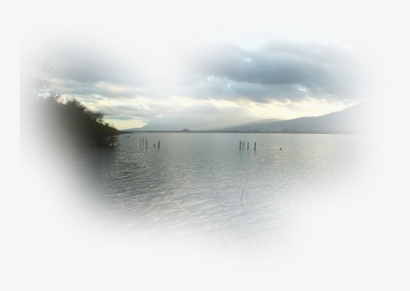 Report Abuse - River, transparent png download